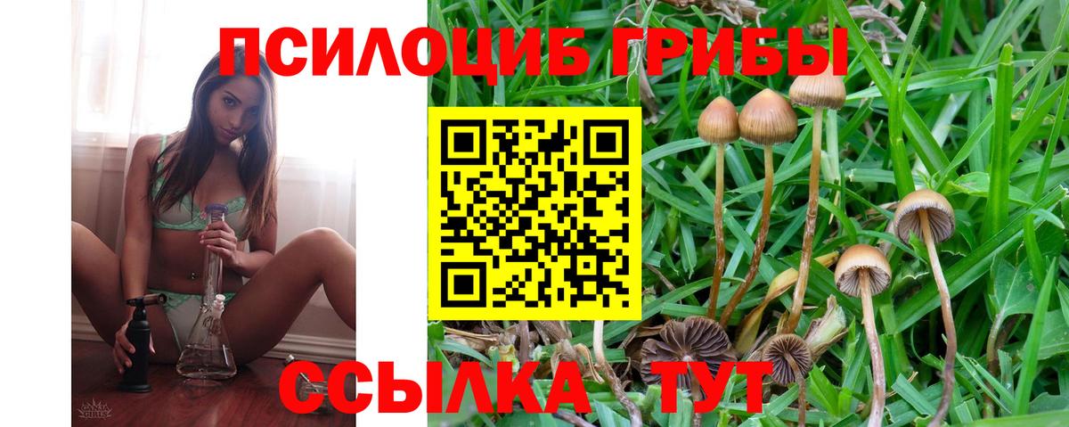 Галлюциногенные грибы Cubensis  Вход с VPN  Малгобек  Псилоцибиновые грибы GOLDEN TEACHER 